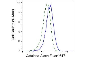 Validation of Catalase knockdown using flow cytometry. (Rekombinanter Catalase Antikörper)