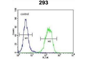 Flow cytometric analysis of 293 cells using PCOTH Antibody (Center) Cat.