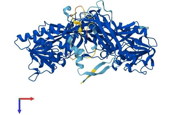PRMT7 Protein (AA 1-692) (His tag)