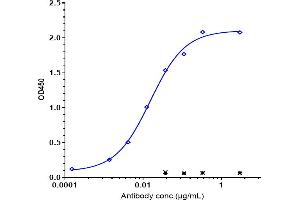 Immobilized human IL31Ra His at 2 μg/mL can bind Anti-IL-31Ra Reference Antibody (nemolizumab), EC50=0.