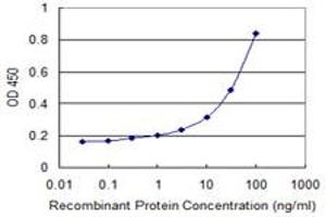 Detection limit for recombinant GST tagged TNRC6B is 0. (TNRC6B Antikörper  (AA 153-252))