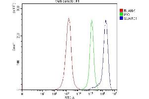 anti-Serine Active Site Containing 1 (SERAC1) (AA 97-623) antibody