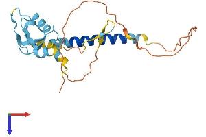RNF152 Protein (AA 1-203) (His tag)