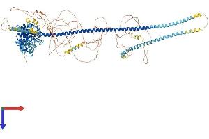 TSC1 Protein (AA 1-1164) (His tag)