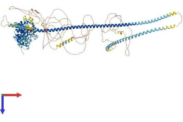 TSC1 Protein (AA 1-1164) (His tag)