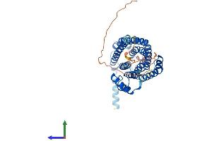 Protein Structure (PS) image for LAG1 Homolog, Ceramide Synthase 5 (LASS5) (AA 1-414) protein (His tag) (ABIN7561050)