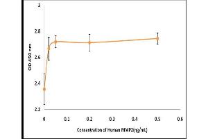 Activity Assay (AcA) image for Matrix Metalloproteinase 2 (MMP2) (Active) protein (ABIN5509491) (MMP2 Protein)