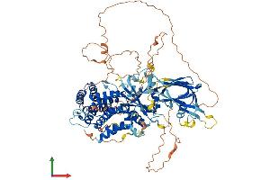 Protein Structure (PS) image for Phosphoinositide-3-Kinase, Regulatory Subunit 5 (PIK3R5) (AA 1-880) protein (His tag) (ABIN7554988)
