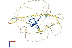 HOXA3 Protein (AA 1-443) (His tag)