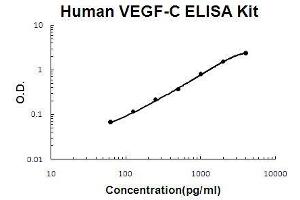 VEGFC ELISA Kit