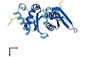 RPS7 Protein (AA 1-194) (His tag)