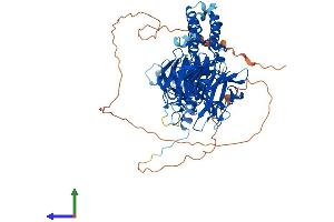 Protein Structure (PS) image for Kelch-Like 4 (KLHL4) (AA 1-718) protein (His tag) (ABIN7548930)