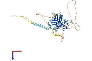 TUB Protein (AA 1-505) (His tag)