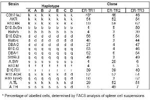 Distribution of ER-TR 1, ER-TR 2 and ER-TR 3 among mouse strains with independent and recombinant haplotypes* (MHC Class II Antigen I Ak,d,b,q,r Antikörper (FITC))