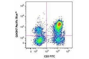 Flow Cytometry (FACS) image for anti-Chemokine (C-C Motif) Receptor 7 (CCR7) antibody (Pacific Blue) (ABIN2662214)