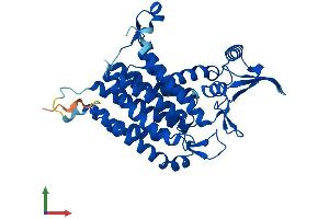 Protein Structure (PS) image for Dolichyl-Phosphate (UDP-N-Acetylglucosamine) N-acetylglucosaminephosphotransferase 1 (GlcNAc-1-P Transferase) (DPAGT1) (AA 1-410) protein (His tag) (ABIN7563251)