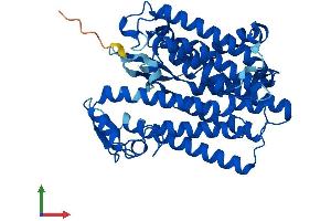 Protein Structure (PS) image for Transmembrane 7 Superfamily Member 2 (TM7SF2) (AA 1-418) protein (His tag) (ABIN7558156)