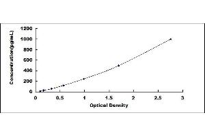 Galectin 2 ELISA Kit