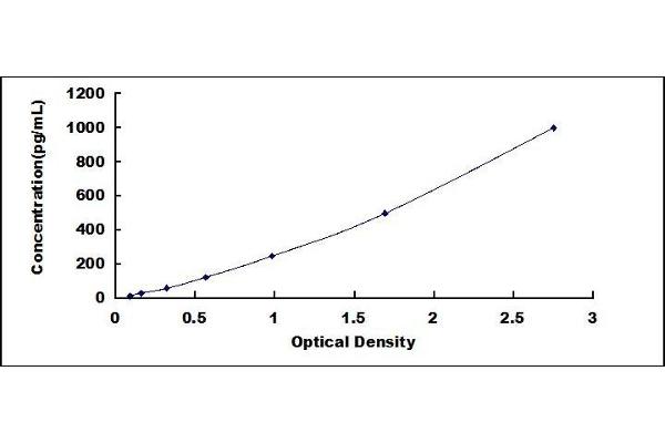 Galectin 2 ELISA Kit