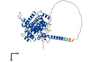 ANKMY2 Protein (AA 1-441) (His tag)