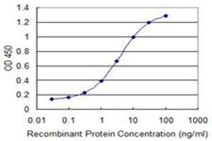 Detection limit for recombinant GST tagged SLC6A11 is 0. (SLC6A11 Antikörper  (AA 164-225))