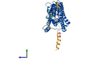 Protein Structure (PS) image for Cystinosis, Nephropathic (CTNS) (AA 1-367) protein (His tag) (ABIN7546921)