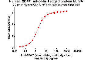 ELISA plate pre-coated by 2 μg/mL (100 μL/well) Human CD47, mFc-His tagged protein (ABIN6961081) can bind Anti-CD47 (Neutralizing antibody clone Hu5F9-G4) in a linear range of 0. (CD47 Protein (CD47) (mFc-His Tag))