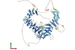 Protein Structure (PS) image for Myb-Binding Protein 1A (MYBBP1A) (AA 1-1328) protein (His tag) (ABIN7554490)