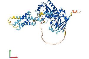 AlphaFold protein structure predicition of Human Recombinant TPTE Protein, UniprotID P56180