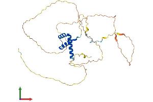 Protein Structure (PS) image for Homeobox A1 (HOXA1) (AA 1-335) protein (His tag) (ABIN7548342)