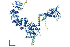Protein Structure (PS) image for Engulfment and Cell Motility 3 (ELMO3) (AA 1-720) protein (His tag) (ABIN7559027)