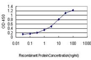 Detection limit for recombinant GST tagged HOXB1 is approximately 0. (HOXB1 Antikörper  (AA 1-74))