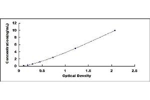 Typical standard curve (SRGN ELISA Kit)