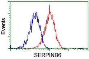 Flow cytometric Analysis of Hela cells, using anti-SERPINB6 antibody (ABIN2455600), (Red), compared to a nonspecific negative control antibody, (Blue). (SERPINB6 Antikörper)