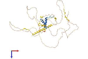 TOX2 Protein (AA 1-488) (His tag)