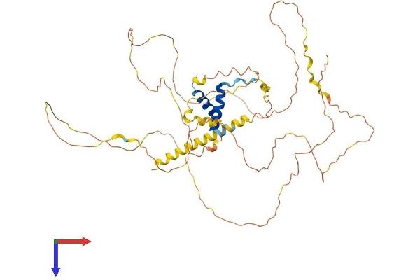 TOX2 Protein (AA 1-488) (His tag)