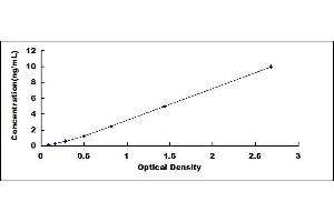 Typical standard curve