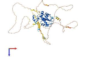 CDC25A Protein (AA 1-524) (His tag)