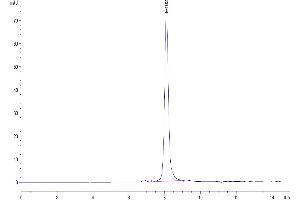 The purity of Human TPO/Thyroid Peroxidase is greater than 95 % as determined by SEC-HPLC. (Thyroperoxidase Protein (AA 19-846) (His tag))