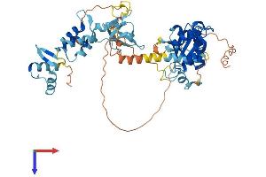 GIN1 Protein (AA 1-522) (His tag)