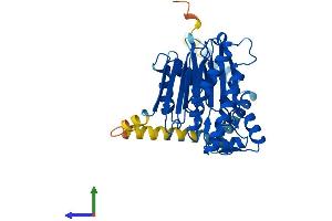 Protein Structure (PS) image for Protein Phosphatase, Mg2+/Mn2+ Dependent, 1L (PPM1L) (AA 1-360) protein (His tag) (ABIN7550950)