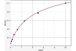 Cathepsin G ELISA Kit