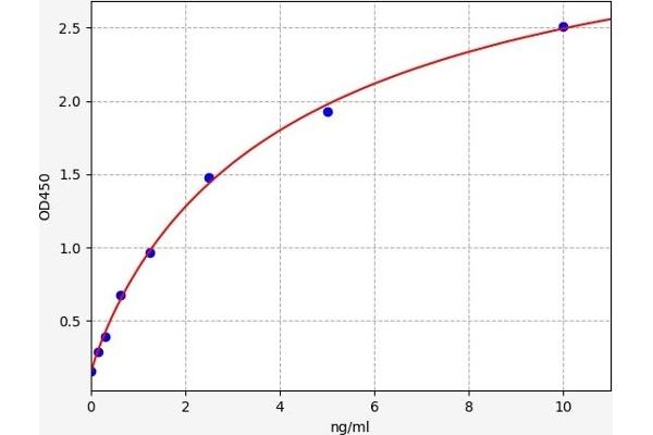 Cathepsin G ELISA Kit