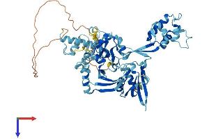 EIF2D Protein (AA 1-570) (His tag)