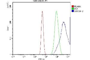 Flow Cytometry analysis of A431 cells using anti-KMT1B/SUV39H2 antibody (ABIN7602135). (SUV39H2 Antikörper  (AA 6-410))