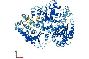 AlphaFold protein structure predicition of Human Recombinant ERCC2 Protein, UniprotID P18074 (ERCC2 Protein (AA 1-760) (His tag))