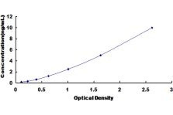 Neuregulin 2 ELISA Kit