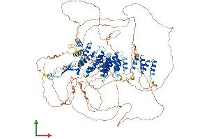 AlphaFold protein structure predicition of Mouse Recombinant Sec16b Protein, UniprotID Q91XT4