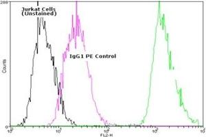 Flow cytometry analysis of 106 Jurkat cells stained using HSP70/HSC70 mAb (N27F34), R-Phycoerythrin Conjugate at a concentration of 10 μg/mL (Hsc70 Antikörper  (PE))