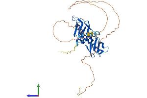 Protein Structure (PS) image for Heterogeneous Nuclear Ribonucleoprotein A2/B1 (HNRNPA2B1) (AA 1-353) protein (His tag) (ABIN7555268)